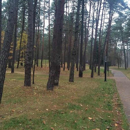 Angel Lägenhet Druskininkai Exteriör bild